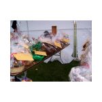 Image14.jpg