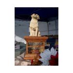 Image26.jpg