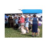 Image51.jpg