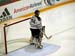 ./athletics/hockey/hockey_ryersonOct04-album/thumbnails/PA080755.jpg