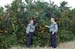 ./athletics/parachute/jumpnatls04-album/thumbnails/Jump-Natls-04-52.jpg