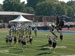 ./athletics/sprint_football/pridebowl_stevenson/thumbnails/DSC_00211.jpg