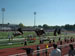 ./athletics/sprint_football/pridebowl_stevenson/thumbnails/DSC_00231.jpg