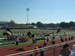 ./athletics/sprint_football/pridebowl_stevenson/thumbnails/DSC_00241.jpg