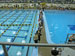 ./athletics/swim_dive/patriots06/thumbnails/Patriot-Swim-013.jpg