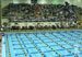 ./athletics/swim_dive/patriots06/thumbnails/Patriot-Swim-017.jpg