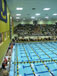 ./athletics/swim_dive/patriots06/thumbnails/Patriot-Swim-041.jpg