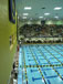 ./athletics/swim_dive/patriots06/thumbnails/Patriot-Swim-042.jpg