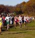 ./athletics/xcountry/xc_vancortland04-album/thumbnails/Van-Cortland-xc-04-024.jpg