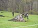 ./clubs/sandhurst/companyg2-sandhurst05-album/thumbnails/DSC01542.jpg