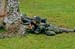 ./clubs/sandhurst/sandhurst05_C1-album/thumbnails/SV400076.jpg