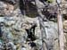 ./clubs/sandhurst/sandhurst_philipalbum/thumbnails/DSC01943.jpg