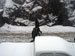 ./clubs/yearling_life/snow_mar8-05/thumbnails/DSC00796.jpg