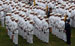 ./firstie_year/ringweekend/sutey_ceremony/thumbnails/P8252605.jpg