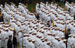 ./firstie_year/ringweekend/sutey_ceremony/thumbnails/P8252610.jpg