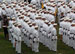./firstie_year/ringweekend/sutey_ceremony/thumbnails/P8252625.jpg