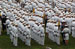 ./firstie_year/ringweekend/sutey_ceremony/thumbnails/P8252626.jpg