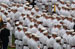 ./firstie_year/ringweekend/sutey_ceremony/thumbnails/P8252640.jpg