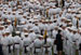 ./firstie_year/ringweekend/sutey_ceremony/thumbnails/P8252650.jpg