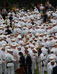 ./firstie_year/ringweekend/sutey_ceremony/thumbnails/P8252651.jpg