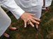 ./firstie_year/ringweekend/sutey_ceremony/thumbnails/P8252671.jpg