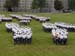 ./plebe/aday/sutey_adayalbum/thumbnails/P1010038.jpg