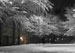 ./scenic_usma/apron_snow/thumbnails/ApronSouth2crop.jpg