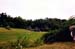 ./yearling/buckner/buckner04_mcgriff_album/thumbnails/scan0003-copy.jpg