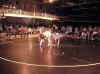 H2Wrestle5.JPG (98782 bytes)