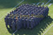 ./2011ANprint/armycompanies11/thumbnails/A2.jpg
