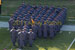 ./2011ANprint/armycompanies11/thumbnails/B4.jpg