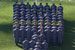 ./2011ANprint/armycompanies11/thumbnails/E3.jpg