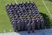./2011ANprint/armycompanies11/thumbnails/F1.jpg