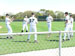 ./athletics/baseball/tampa07/thumbnails/P1030597.jpg