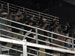 ./athletics/baseball/tampa07/thumbnails/P1030633.jpg