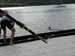 ./athletics/crew/ppw/thumbnails/Crew-Team-101605-(27).jpg