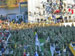 ./athletics/football/ark_ashton/thumbnails/DSCN8384.jpg