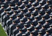 ./athletics/football/armynavy07_sutey/thumbnails/PC013274.jpg