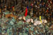 ./athletics/football/isu_ashton/thumbnails/DSC03511.jpg