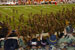 ./athletics/football/isu_ashton/thumbnails/DSC03524.jpg