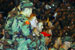./athletics/football/isu_ashton/thumbnails/DSC03541.jpg