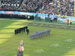 ./athletics/football/navy06_ashton/thumbnails/P1010679.jpg