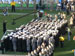 ./athletics/football/navy06_ashton/thumbnails/P1010708.jpg