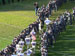 ./athletics/football/navy06_ashton/thumbnails/P1010732.jpg