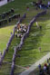 ./athletics/football/navy06_haigler/thumbnails/IMG_0706.jpg