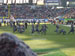 ./athletics/football/navy_cinotto/thumbnails/Picture-195.jpg