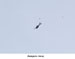 ./athletics/football/rice06_cragg/thumbnails/PICT0609a.jpg