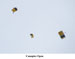./athletics/football/rice06_cragg/thumbnails/PICT0610a.jpg