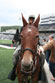 ./athletics/football/rice_barker/thumbnails/20060930-Tailgate-Web-(109).jpg