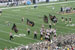 ./athletics/football/rice_barker/thumbnails/20060930-Tailgate-Web-(117).jpg